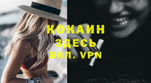 дживик Гусь-Хрустальный